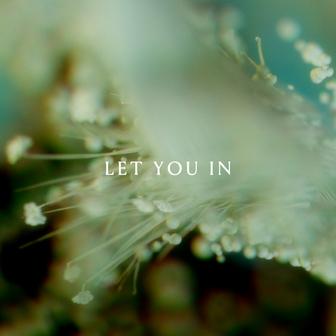 Let You In (feat. East Forest)