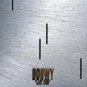 LAST GIGS (LIVE AT TOKYO DOME "BIG EGG" APRIL 4,5 1988)