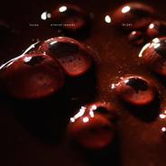 Arterial - The Sight Below Remix