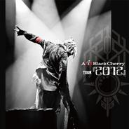 罪と罰～神様のアリバイ～ - (TOUR 『２０１２』 LIVE)