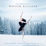 The Nutcracker, Op. 71, TH 14, Act I Scene 8: Scene in the Pine Forest (Journey Through the Snow)