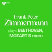 Mozart: Violin Sonata No. 27 in G Major, K. 379: II. (e) Variation IV