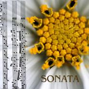 Piano Sonata No. 23 in F Minor, Op. 57 "Appassionata": III. Allegro ma non troppo - Presto