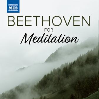 Beethoven For Meditation