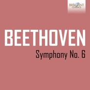 Symphony No. 6 in F Major, Op. 68 'Pastoral': III. Allegro (1)