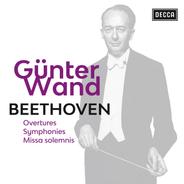 Symphony No. 9 in D Minor, Op. 125 "Choral": IV. Finale. Presto - Allegro assai