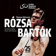 Violin Concerto, Op. 24: I. Allegro non troppo ma passionato
