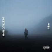 DESTRUCTION