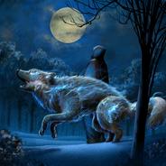 Wake Up The Wolves