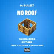 No Roof
