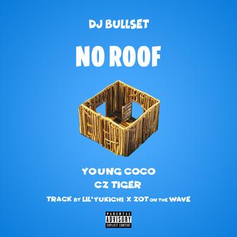 No Roof
