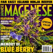 BLUE BERRY (feat. 阿修羅MIC & SNEEEZE)
