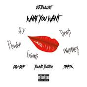 What You Want (feat. RAU DEF & Young Yujiro)
