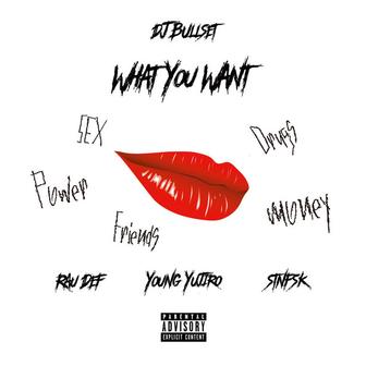 What You Want (feat. RAU DEF & Young Yujiro)