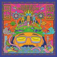 未確認飛行物体B