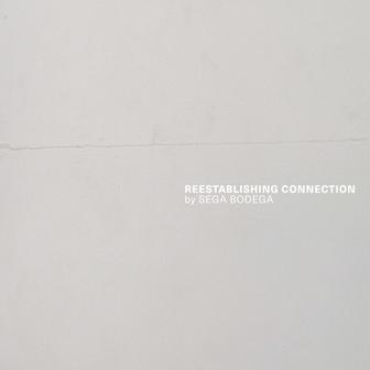 Reestablishing Connection [2020]