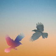 Places