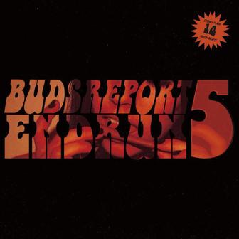 BUDSREPORT5