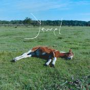 Jewel