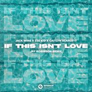 If This Isn't Love (feat. Caitlyn Scarlett) [Jay Robinson Remix] - Extended Mix