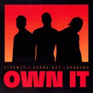 Own It (feat. Burna Boy & CHANGMO)