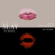 SLAY [feat. PUSHIM] - remix