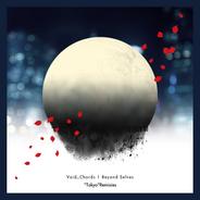 Beyond Selves (feat. L) - VITICZ "Hyperbreaks" Remix