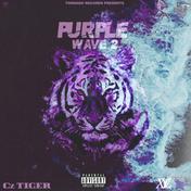 PURPLE WAVE 2