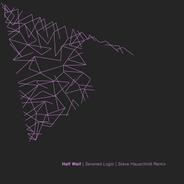 Severed Logic - Steve Hauschildt Remix