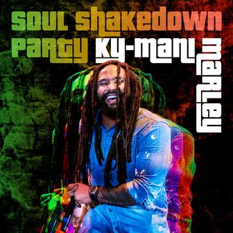 Soul Shakedown Party