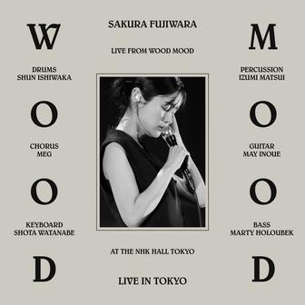 wood mood (live at NHK Hall)