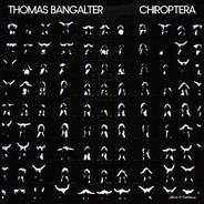 CHIROPTERA (Solo Intro)