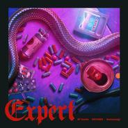 Expert (feat. Jinmenusagi)