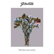 Fake