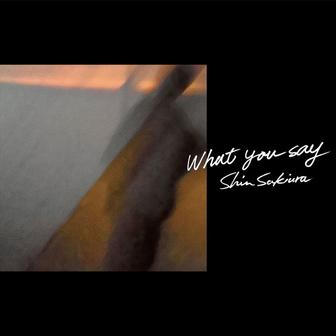 What You Say