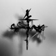 Echo Silhouette