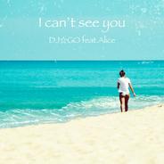 I can't see you
