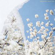 Scent of home