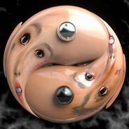 Ying Yang