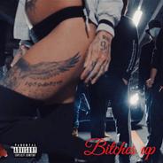Bitches up (feat. SATORU)