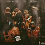 Like Me (Remix)