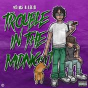 TROUBLE IN THE MIDNIGHT