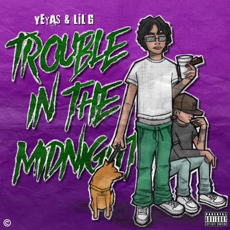 TROUBLE IN THE MIDNIGHT