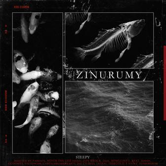ZINURUMY (FIN)