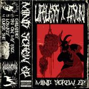 MIND SCREW