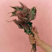 P.S. I love you - Single