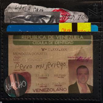 Perro Mujeriego - Single