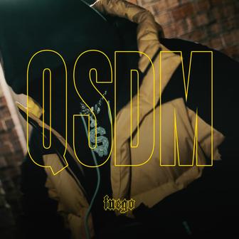 QSDM:Qué Sabe De Mí - Single