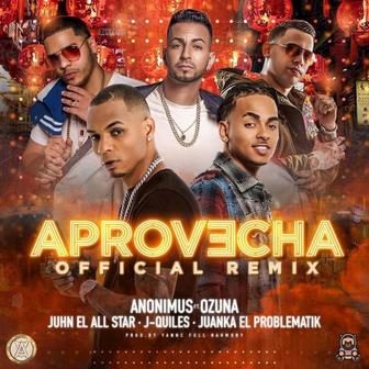 Aprovecha (Remix) [feat. Ozuna, Juanka El Problematik, Juhn El All Star & Justin Quiles] - Single