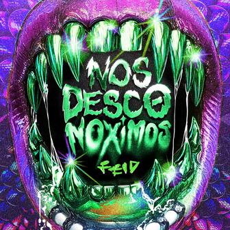 NOS DESCONOXIMOS - Single